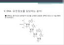 단백질 공학-세포내 구성물 및 입체구조해석 17페이지