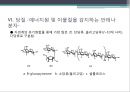 단백질 공학-세포내 구성물 및 입체구조해석 21페이지