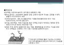 단백질 공학-세포내 구성물 및 입체구조해석 23페이지