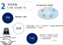 ★ 메가 얼라이언스 - 얼라이언스 정의 및 배경, 얼라이언스 가입 기준, 재편현황, 2M, OCEAN, TA, 시장 점유율, 한진해운, 현대상선, 부산항’s  Loss, 부산항 이탈 대응방안, 결론 8페이지