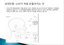 문화행사기획에대한 피피티자료 14페이지