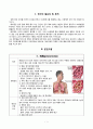 중환자실 폐려, 폐부종 간호과정 1페이지