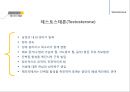 남성생식, 남성생식기, 남성생식기구조, 정자형성과정, 성기능, 테스토스테론, Testosterone 14페이지