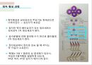 남성생식기, 남성생식, Male Reproduction, 남성생식기구조, 정자형성과정, 남성의성기능, 테스토스테론, 테스토스테론분비, 테스토스테론작용 12페이지