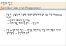생리학, 여성생식기, 여성생식기구조, 월경주기, 에스트로겐, 프로게스테론, 수정, 임신, 분만, 유즙분비 20페이지