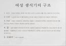 여성생식기, 여성생식기구조, 월경주기, 에스트로겐, 프로게스테론, 수정과임신, 분만, 유즙분비, 분만후월경주기 4페이지