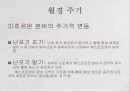 여성생식기, 여성생식기구조, 월경주기, 에스트로겐, 프로게스테론, 수정과임신, 분만, 유즙분비, 분만후월경주기 7페이지