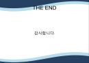 기업의 사회적 책임 17페이지