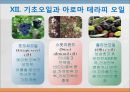 [베이비 마사지] 베이비 마사지의 방법과 효과 26페이지