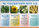 [베이비 마사지] 베이비 마사지의 방법과 효과 27페이지