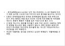 청소년기문제, 성문제,  청소년임신, 피임, 성병, 성폭행, 청소년건강문제 16페이지