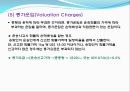[항공운임 종류] 항공운임제도와 종류 18페이지