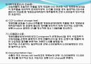 [항공운임 종류] 항공운임제도와 종류 21페이지