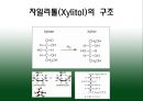 자일리톨 3페이지