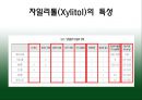 자일리톨 6페이지