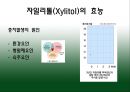 자일리톨 9페이지