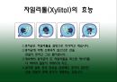 자일리톨 10페이지