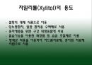 자일리톨 13페이지