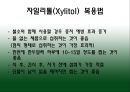 자일리톨 14페이지