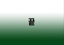 자일리톨 16페이지