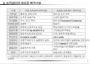 성과목표관리(MPO) 보고서 12페이지