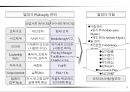 성과목표관리(MPO) 보고서 13페이지