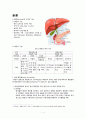 성인간호학) 급성췌장염 A+ (사전학습, 문헌고찰, 레포트) 2페이지
