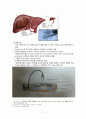 성인간호학) 간신생물 7페이지