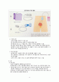 성인간호학) 배뇨장애 대상자의_간호(요정체, 요실금, 신경성 방광, 요역류, 수신증) 15페이지