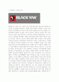 블랙야크 브랜드분석과 SWOT분석/ 블랙야크 마케팅,경영전략사례/ 블랙야크 미래 마케팅전략 제안 3페이지