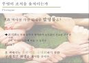 무엇이 조직을 움직이는가? 3페이지