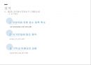 정부 수립 50년 만에 처음 이루어진 여야 간 정권 교체 국민의 정부 17페이지