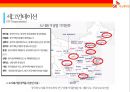 SK Innovation 전기 자동차 배터리 사업 35페이지