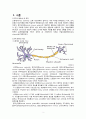 [성인] 다발성 경화증(Multiple sclerosis) 문헌고찰 및 간호과정 3페이지