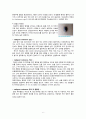 [성인] 악성피부암(Malignant melanoma) 문헌고찰 및 간호과정 7페이지