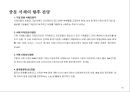 중국 한자 서체의 identity와 서체별 마케팅(광고.잡지.CI) 사례분석 65페이지