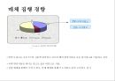 대한항공의 기업이미지 정립을 위한 커뮤니케이션 전략 56페이지