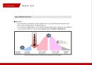 캐즘 마케팅사례[Chasm Marketing Case] 6페이지