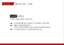 캐즘 마케팅사례[Chasm Marketing Case] 12페이지