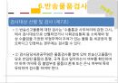 [반송통관] 수출통관과 반송통관 27페이지