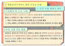 (종합보세구역) 종합보세구역 28페이지