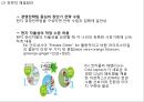 [A+] 코카콜라 기업현황과 SWOT분석/ 코카콜라 마케팅,경영,글로벌전략 사례분석/ 코카콜라 문제점과 해결방안제안 PPT 43페이지