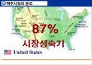 Miller Lite의 브랜드런칭 성공사례[성공 반작용. 마케팅. 광고 전략 분석] 3페이지