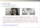 화이트(흰색) 마케팅 [유래.의미와 상징.마케팅 사례] 15페이지