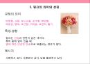 핑크색 PINK COLOR [마케팅.의미.상징.패션.마크] 10페이지