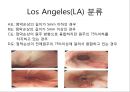 상부소화관 내시경 소견 5페이지
