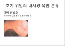 상부소화관 내시경 소견 29페이지
