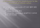심내막염, Infectious endocarditis 16페이지
