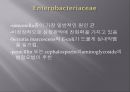 심내막염, Infectious endocarditis 26페이지