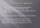 심내막염, Infectious endocarditis 27페이지